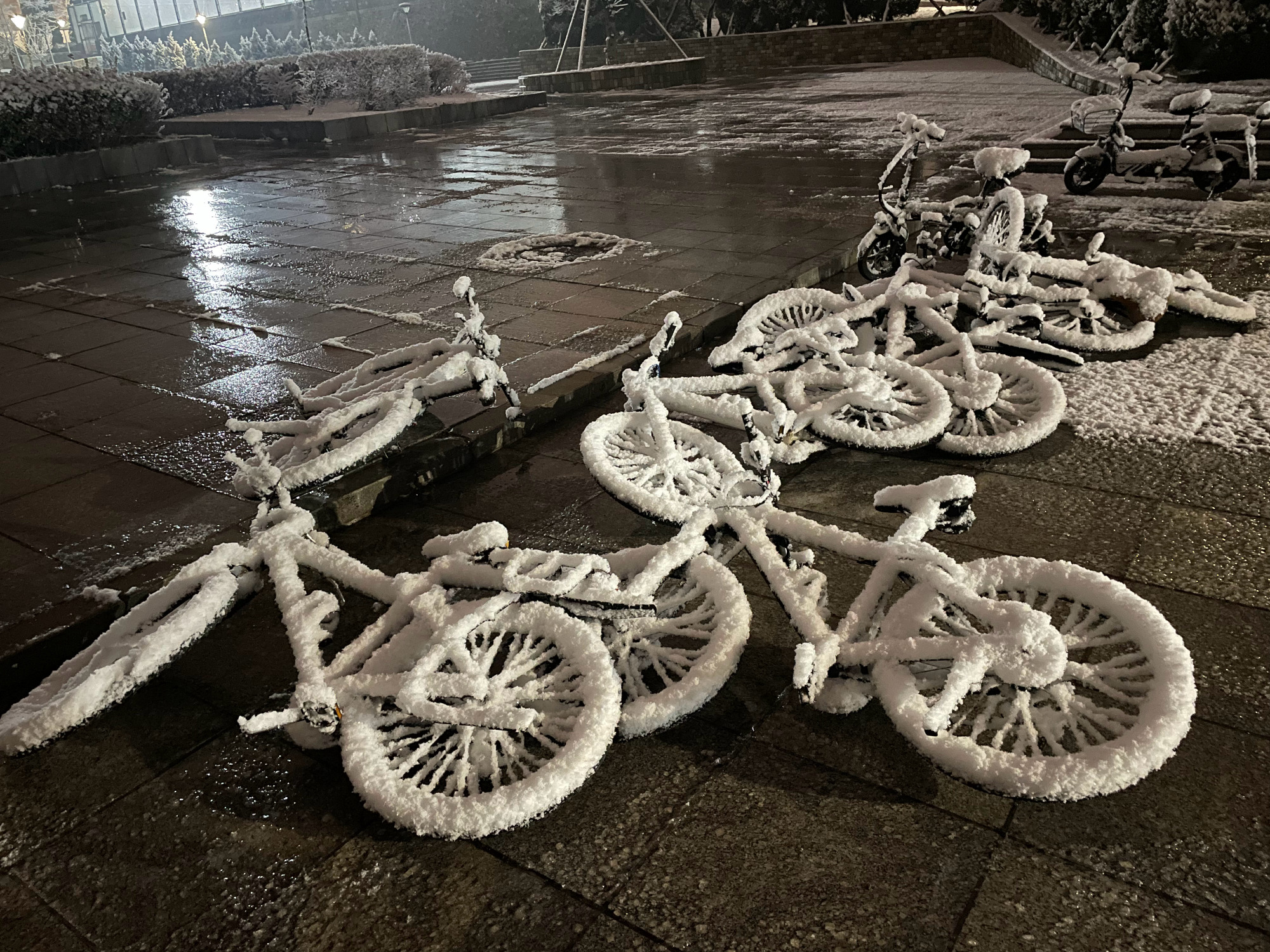 裹了一层雪的自行车看起来很酷